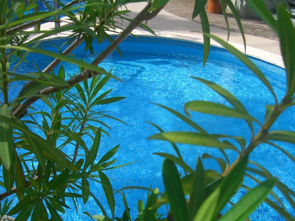 Hotel New Tiffany'S Park à Jesolo Extérieur photo